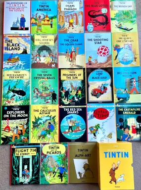 Adventures of Tintin Box Set x23 Farshore Paperback Books Herge Comic Lot