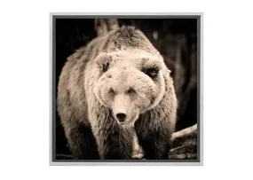 European Brown Bear | Canvas Wall Art Print