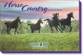 Horse Country Greeting Card Assortment 20 Designs for All Occasions